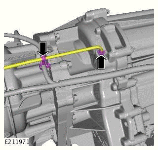 Transfer Case - Removal